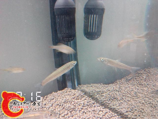 2014_12_31_20_17_00.jpg