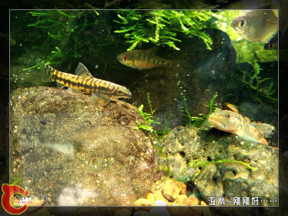 P41120-131218_副本.jpg