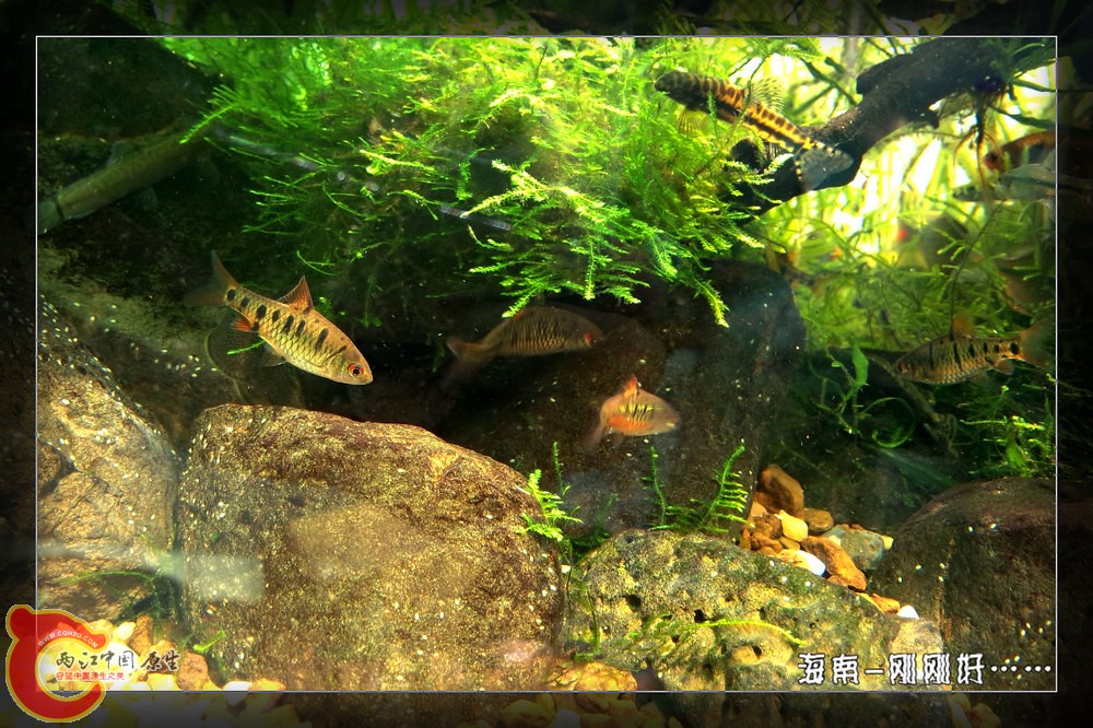 P41120-131943_副本.jpg