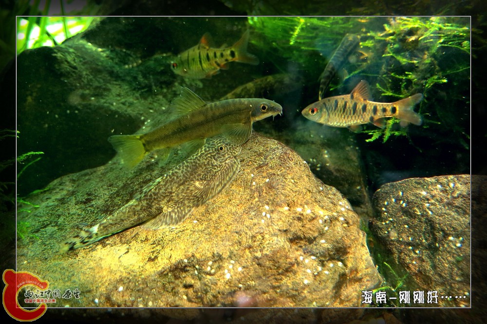 P41120-132457_副本.jpg