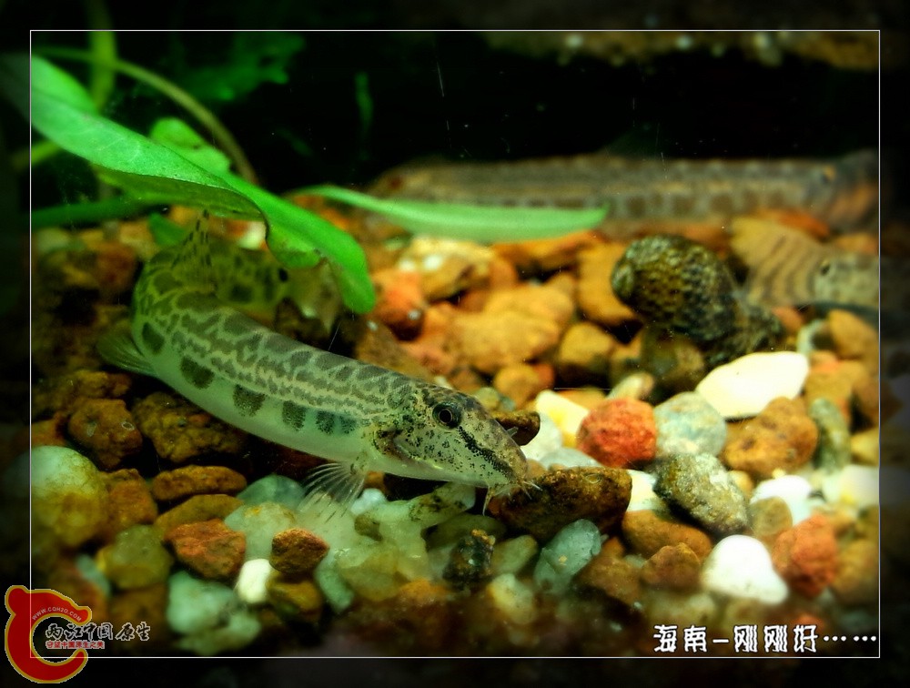 P41120-133446-001_副本.jpg