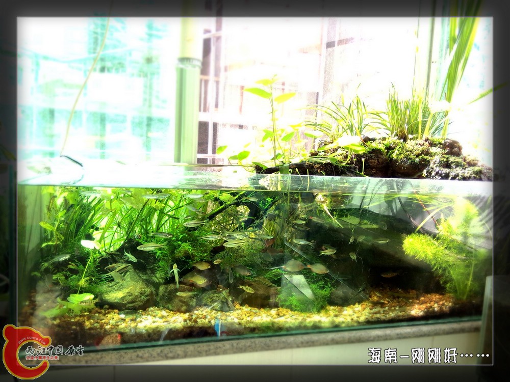 P41122-103904_副本.jpg