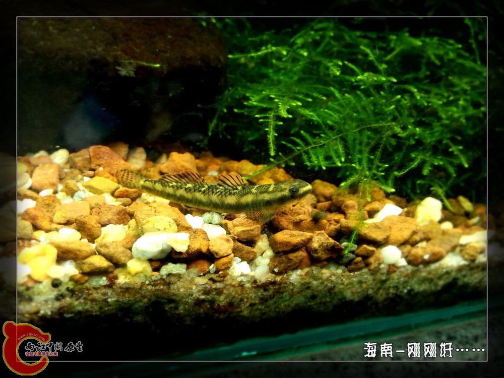 P41126-163320_副本.jpg