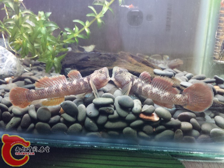 20141231_232612.jpg