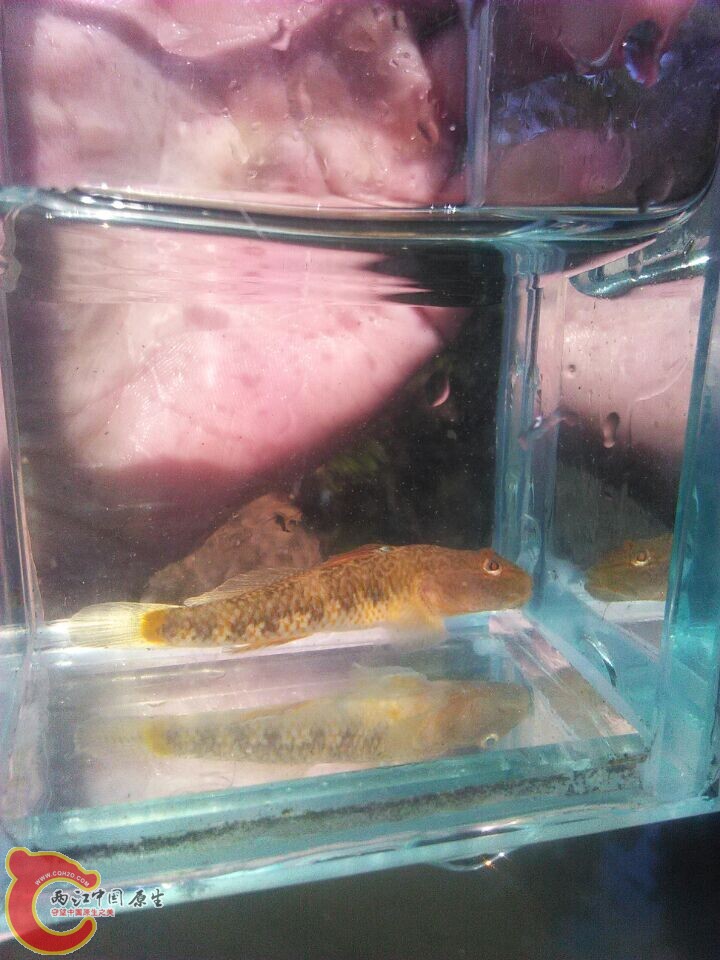 QQ图片20150104145904.jpg