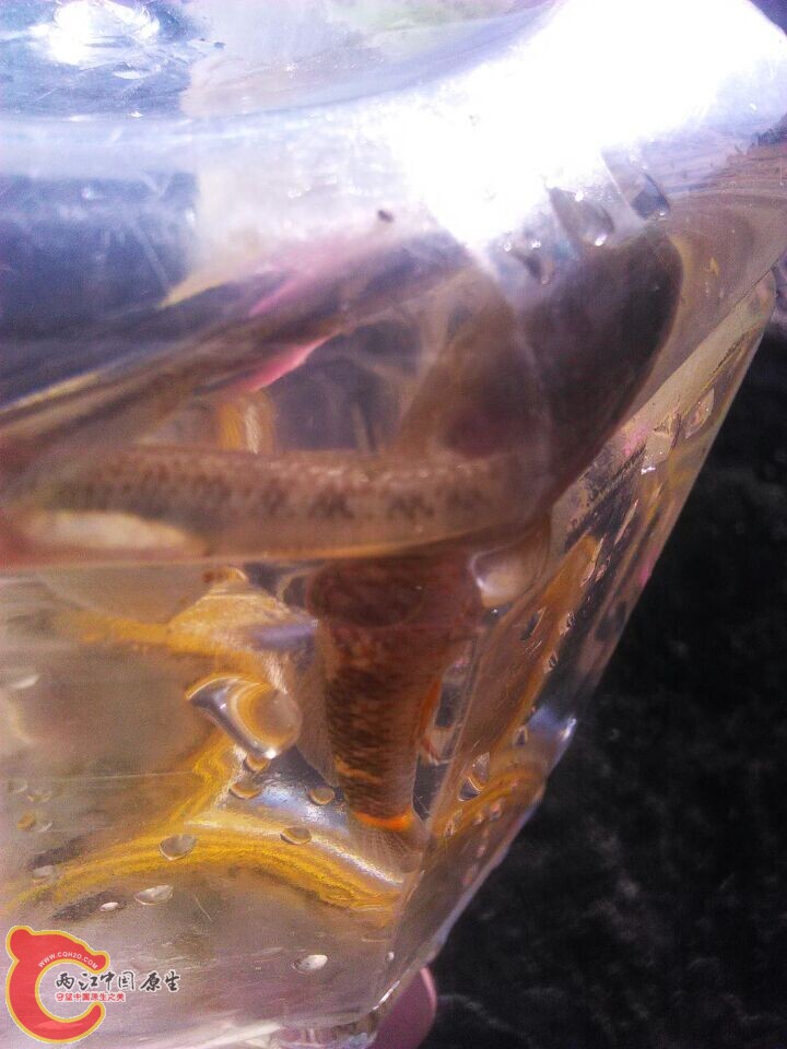 QQ图片20150104145911.jpg