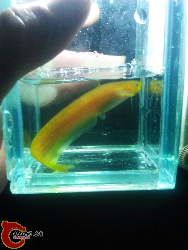 QQ图片20150104145758.jpg