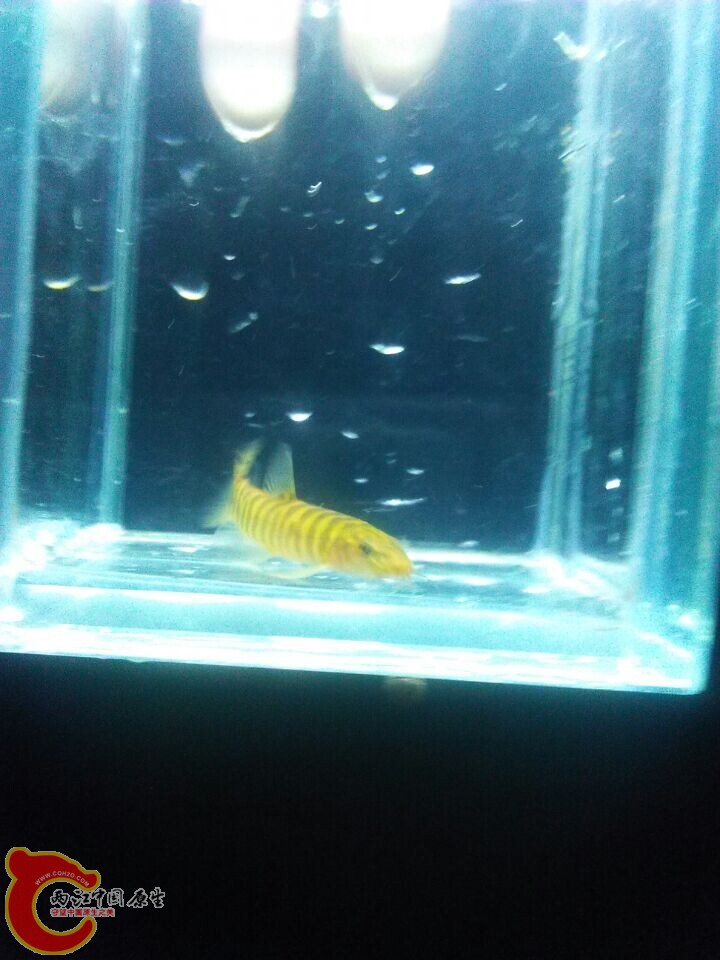 QQ图片20150104145821.jpg