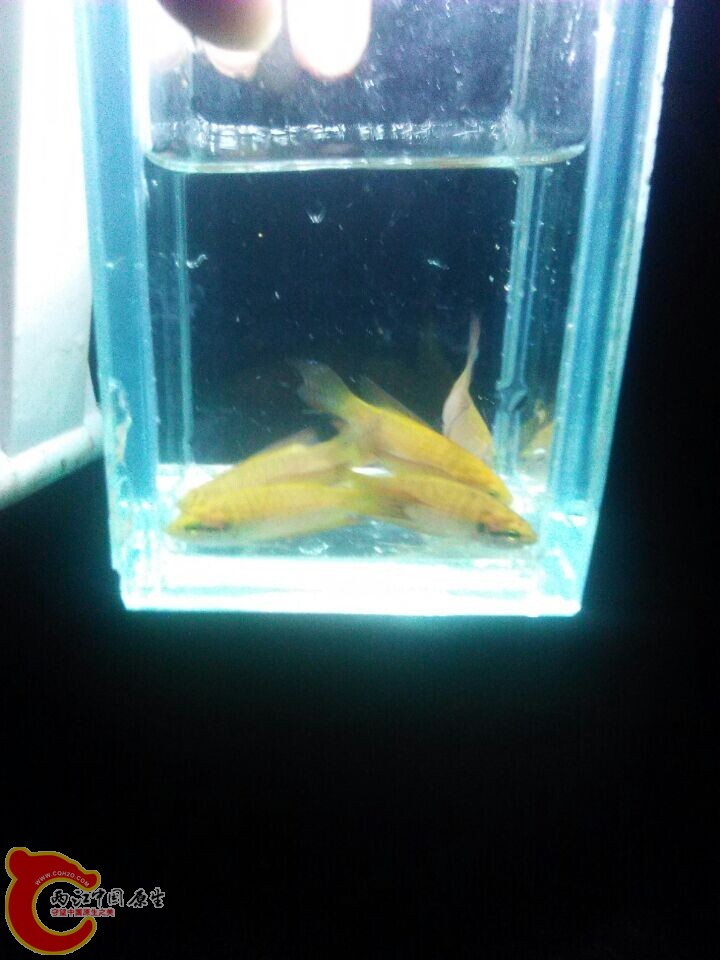 QQ图片20150104145824.jpg