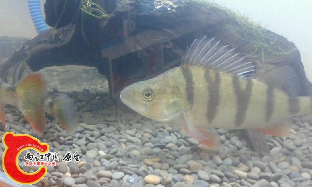 20141230_173206.jpg