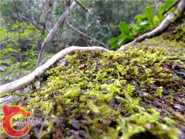 DSCF2362.JPG