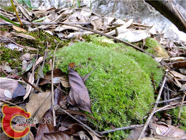 DSCF2365.JPG