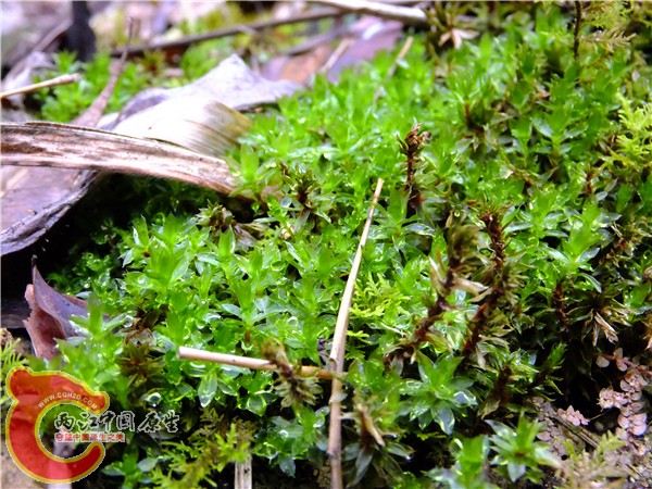 DSCF2371.JPG