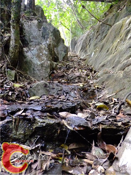 DSCF2440.JPG