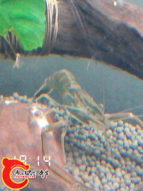 2015_01_07_19_14_21.jpg