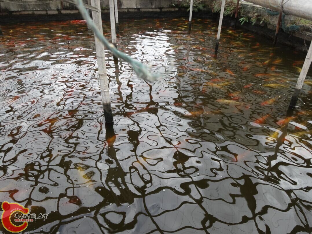 QQ图片20141123172549.jpg