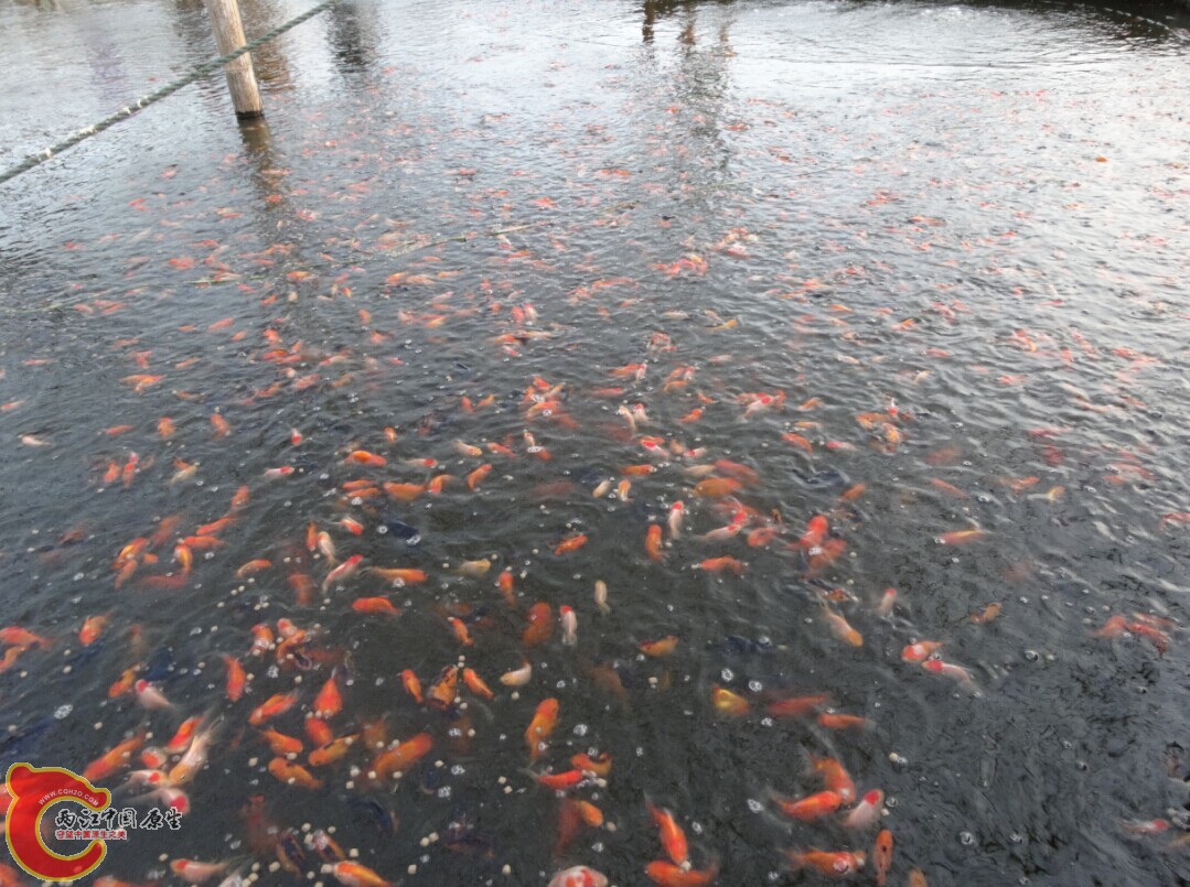 QQ图片20141002131221.jpg