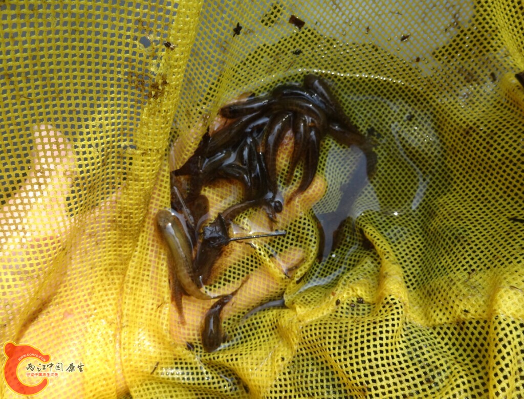 QQ图片20141118175750.jpg
