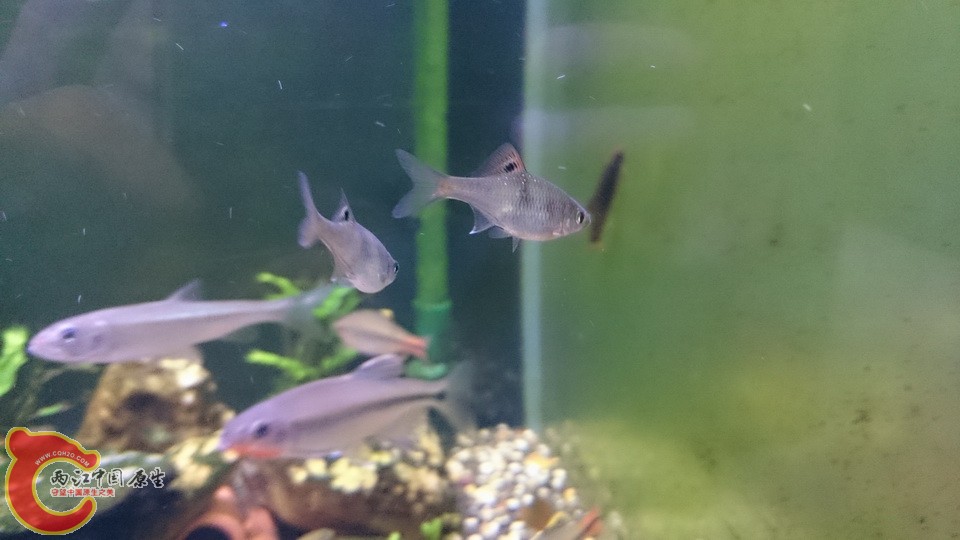 越2 (2)_调整大小.JPG