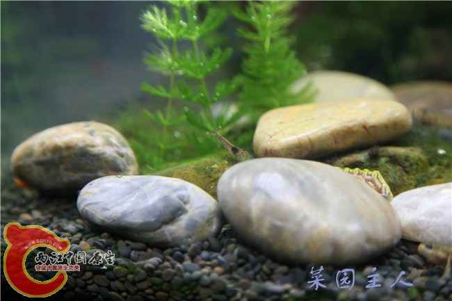 056_副本.jpg