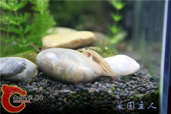 057_副本.jpg