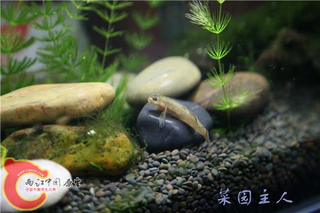 059_副本.jpg