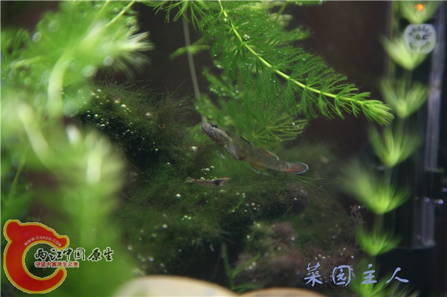 060_副本.jpg