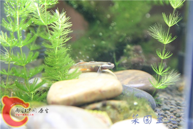 062_副本.jpg