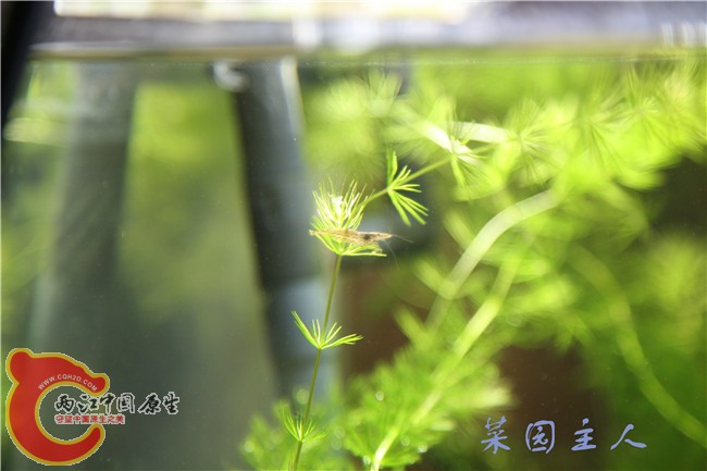 064_副本.jpg