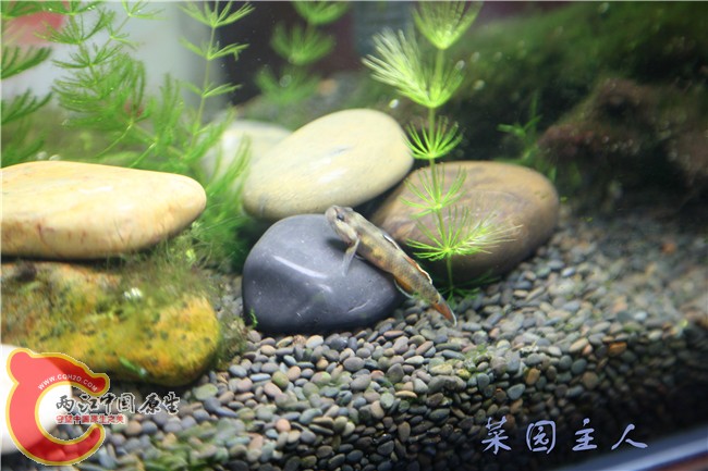 073_副本.jpg