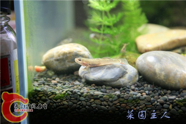 074_副本.jpg