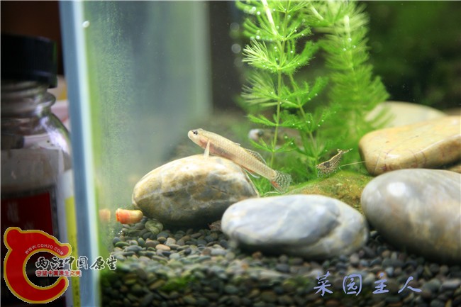 075_副本.jpg