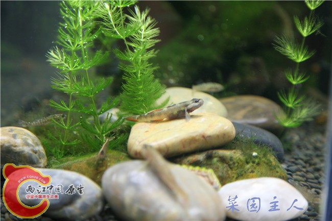 078_副本.jpg