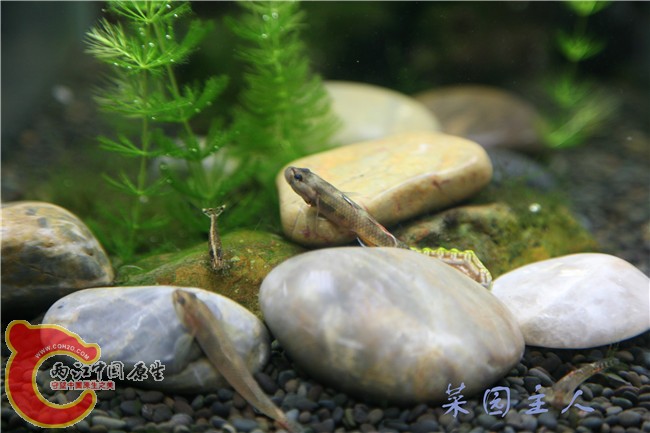083_副本.jpg