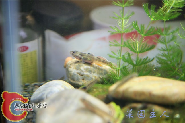 085_副本.jpg
