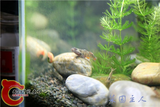 087_副本.jpg