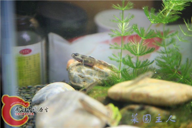 086_副本.jpg