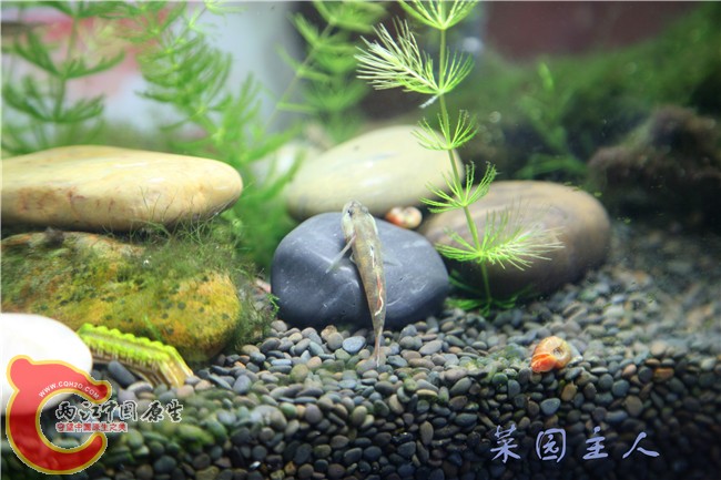 057 (2)_副本.jpg