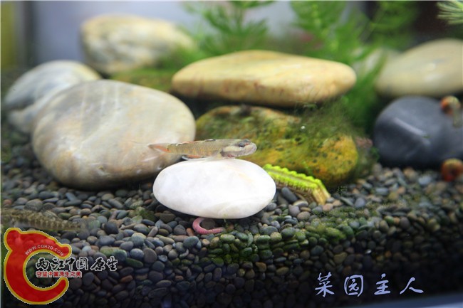 064 (2)_副本.jpg