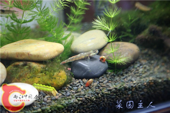065_副本.jpg