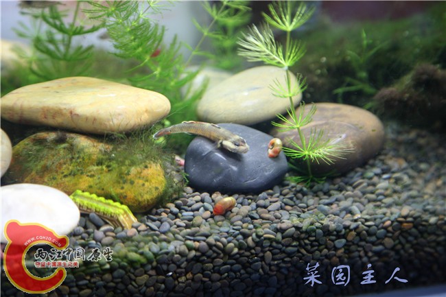 067_副本.jpg
