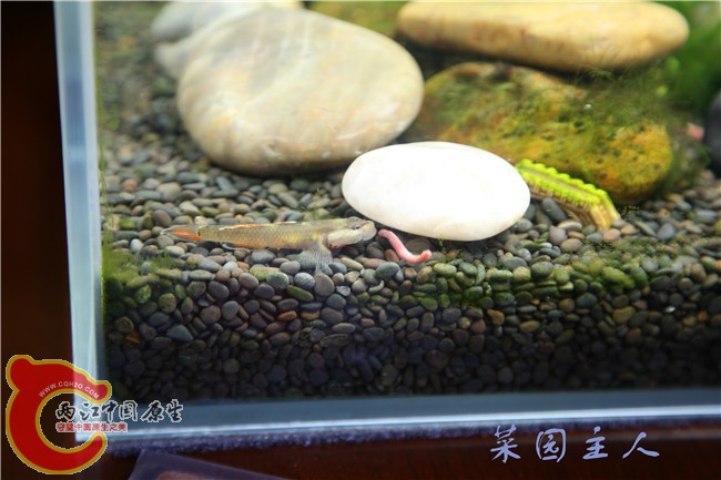 068_副本.jpg