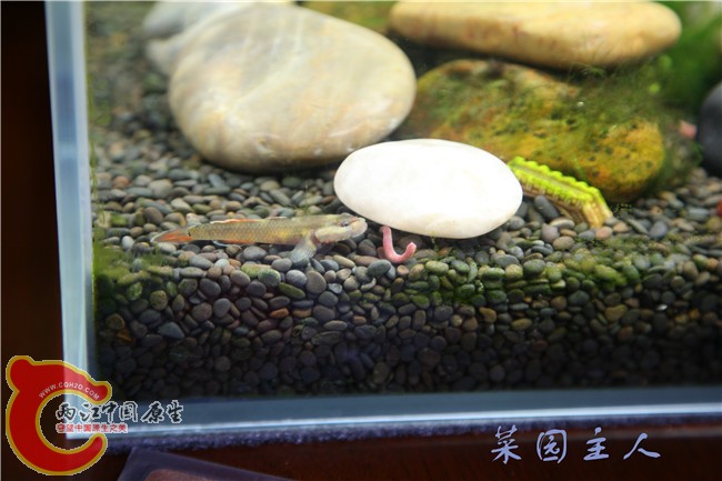 069_副本.jpg