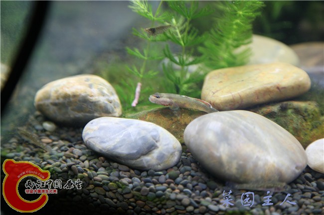 073 (2)_副本.jpg