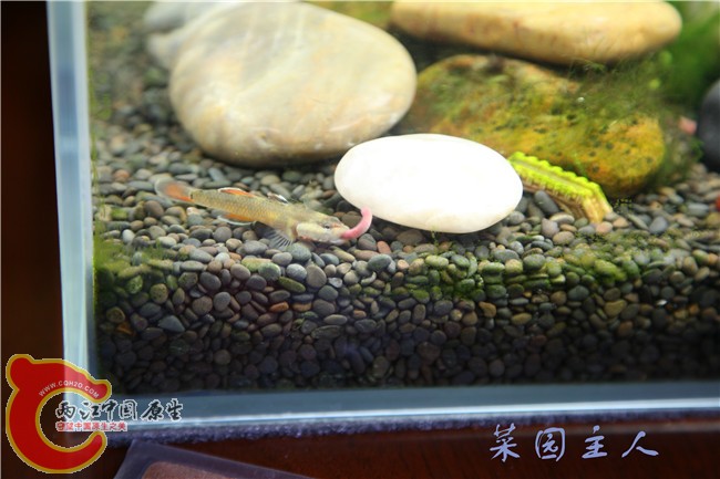 070 (2)_副本.jpg