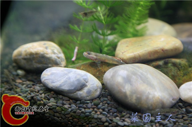 074 (2)_副本.jpg