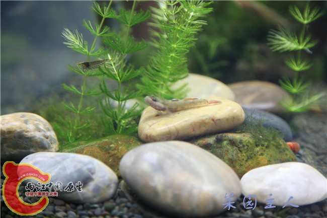 076 (2)_副本.jpg