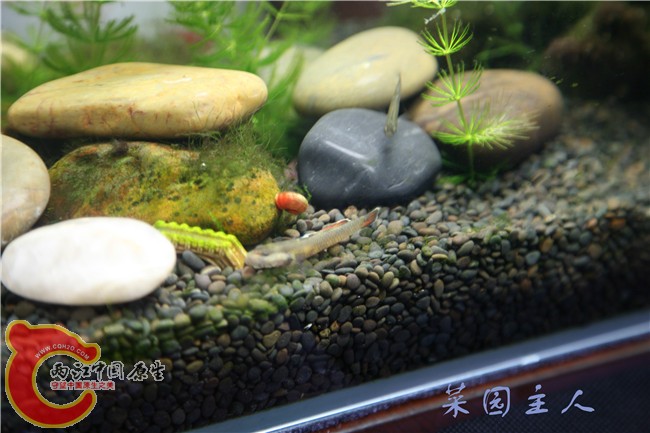 078 (2)_副本.jpg