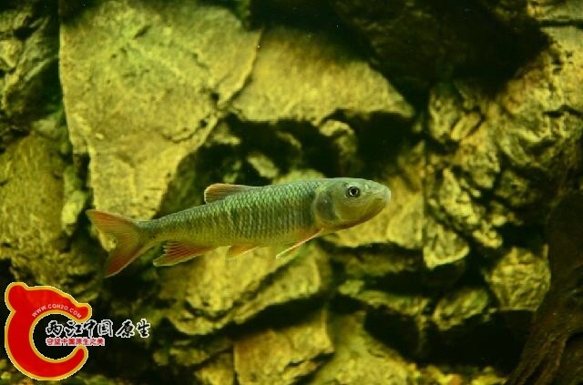 DSC_6498.JPG