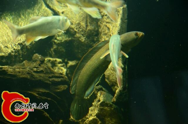DSC_6544.JPG